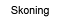 Skoning