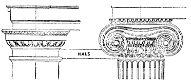 hals fig 1 2