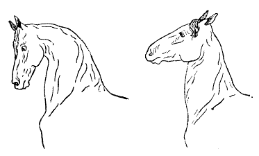 hals fig 2 3