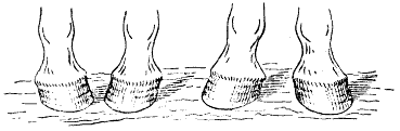 hof fig 4 5 hof fig 4 5
